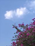 Cloudy Weather