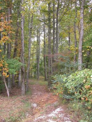 Huntsville Fall.JPG