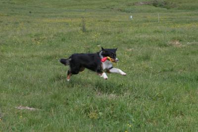 IMG_2167.JPG