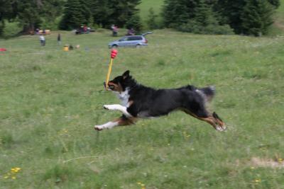 IMG_2168.JPG