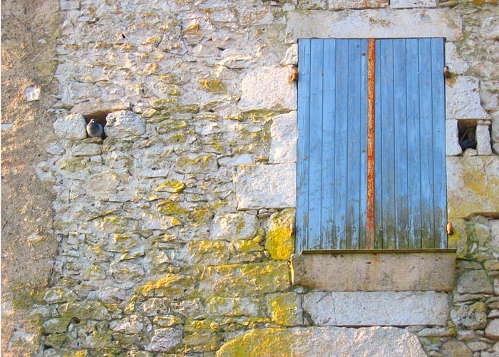 Pigeon Post<br>by Penelope
