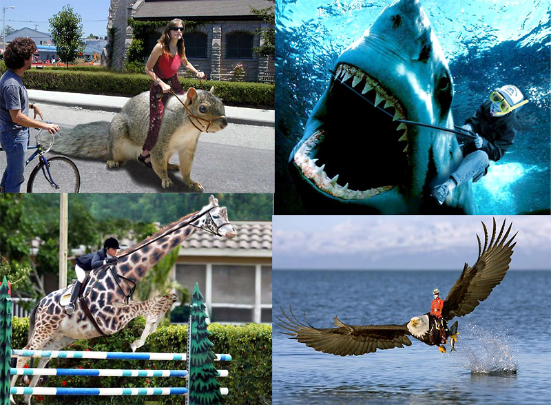Dream Riders (not for voting)