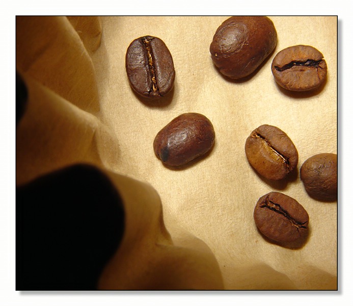 <b>7th Place</b><br>Filters & Beans</b><br>by MFC