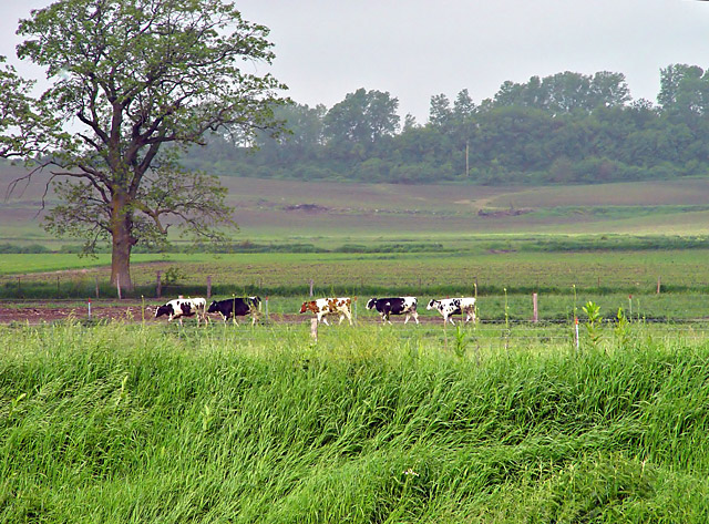Single File
