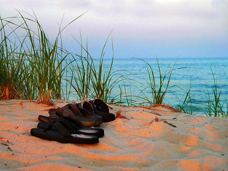 Beach Lineup<br>by Anonymous