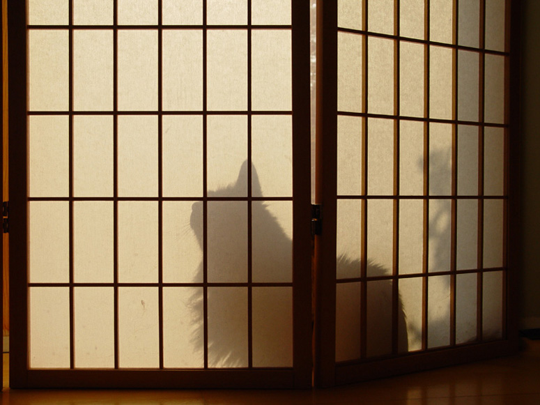 Shadows and Light