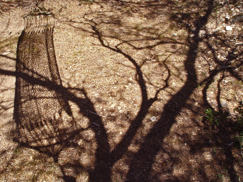 The resting shadows