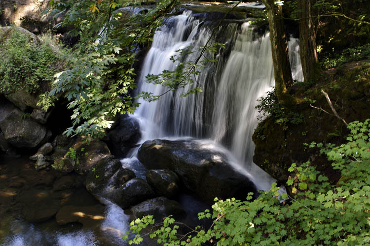 Waters Path