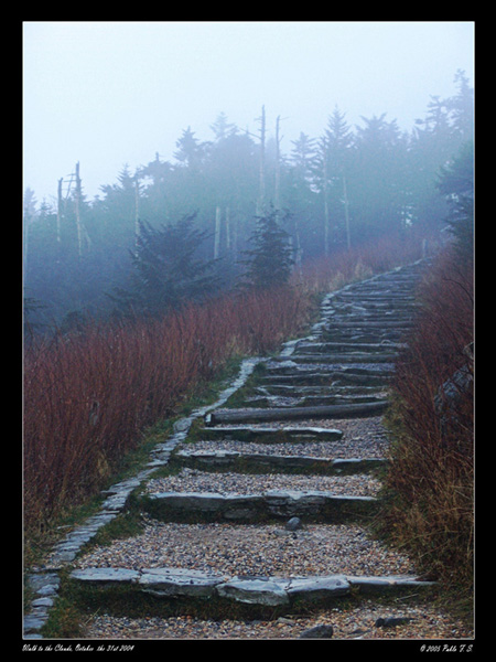 Walk To The Clouds by Pablo F.S.