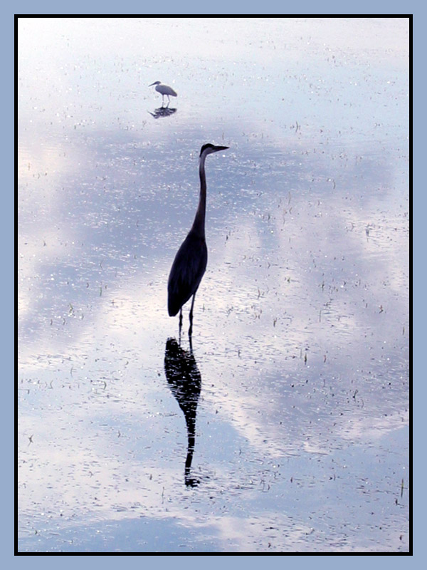 Reflections