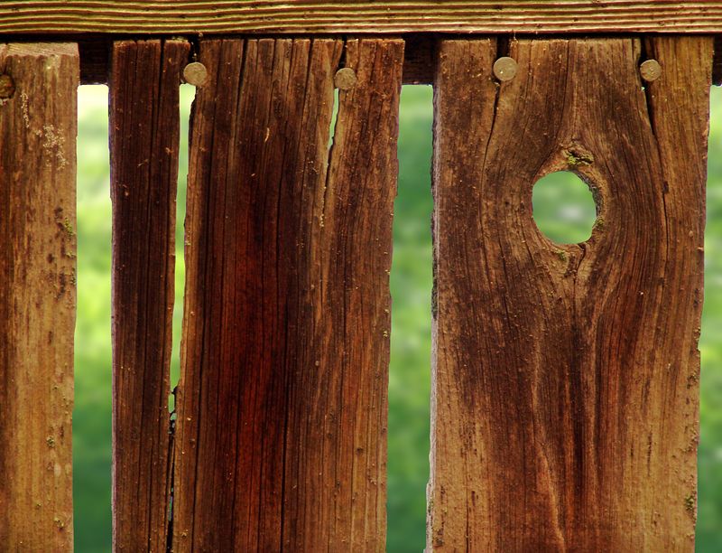 Old Knot Hole<br>by Tessa