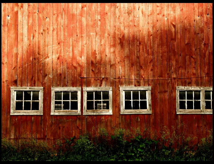 <b>4th Place (tie)</b><br>Crooked Windows <br> by TinyGreenAlien