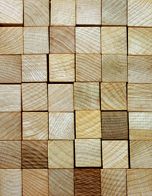 <b>9th Place</b><br><B>Scrabble</b>
