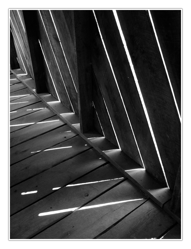 In the Shadows of the Bridge<br>by Kevin Xiques