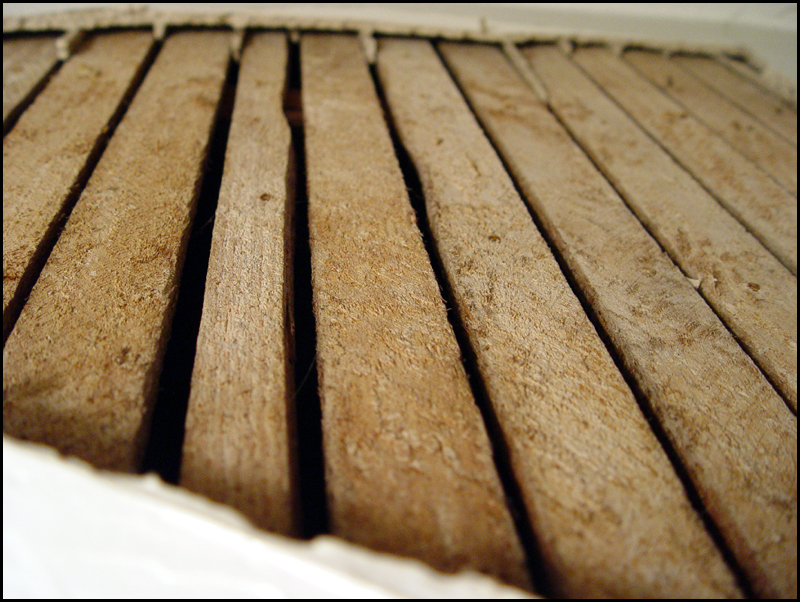 Lath/Plaster (53610)<br>by DM Watson