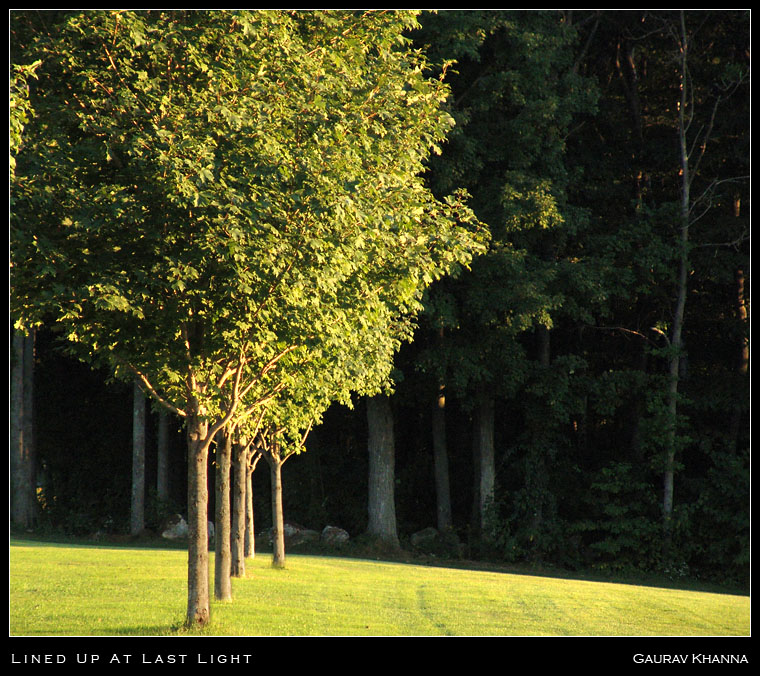* Lined up at last light