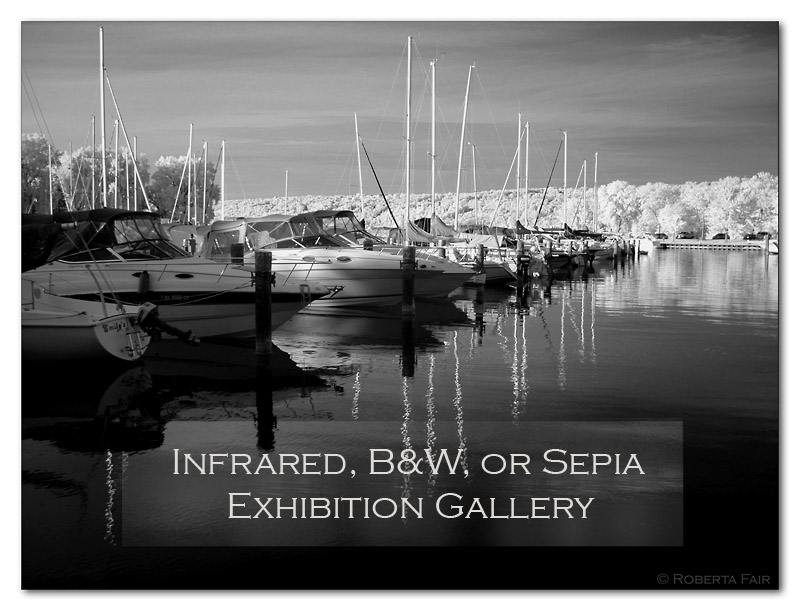 Exhibition Gallery Header