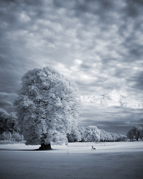 <b>10th Place [Tie]</b><br>Hole 12<br>by Willem