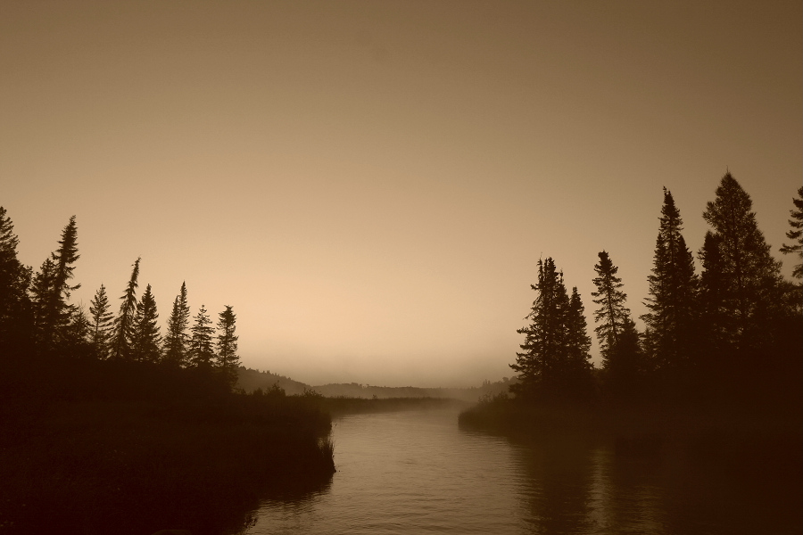 Canadian mist