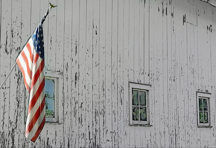 Old Glory <br>by Cheryl Meisel