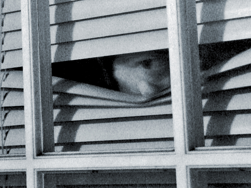 A Bump In The Night<br>by Marcus