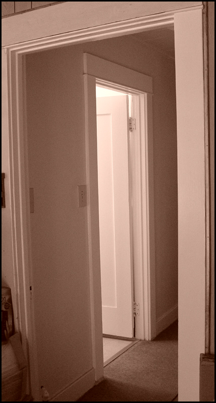 Doors (53645)<br>By DM Watson