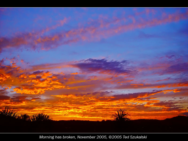 <b>10th Place</b><br>Morning Has Broken<br>by Ted.Sz