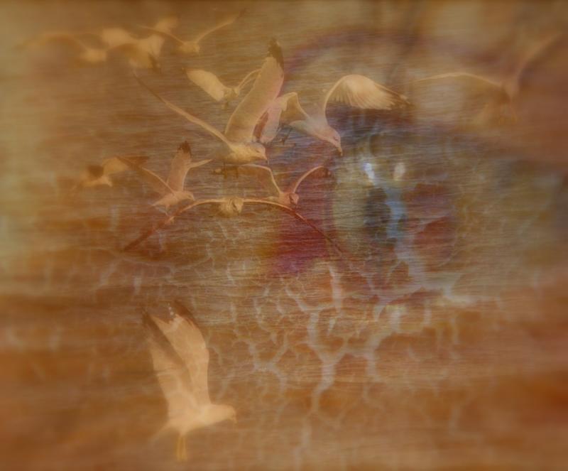 4th place<br>Free as a bird*<br>by Tajinder