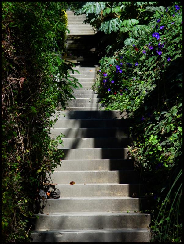 Prospect Walk (53580)<br>by DM Watson