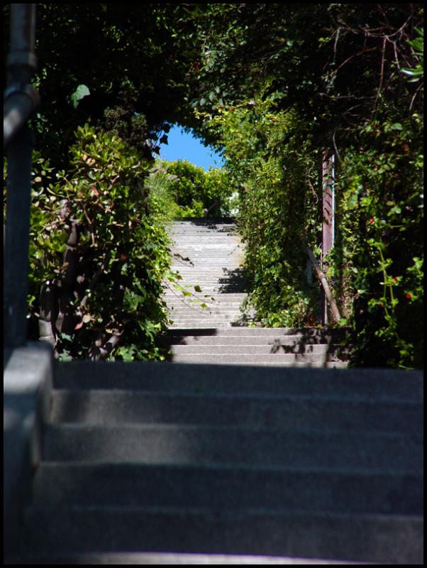 Prospect Walk 2 (53580)<br>by DM Watson
