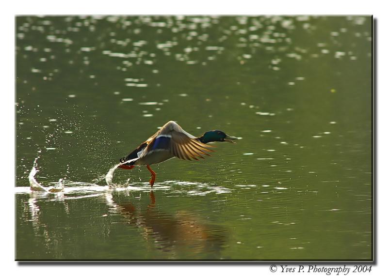 Lift-Off ...
