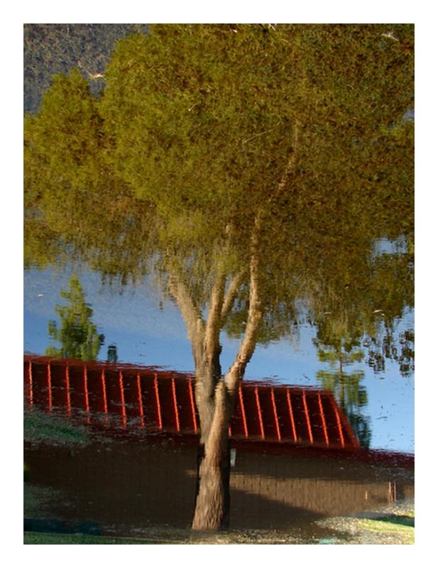 Painted Water *