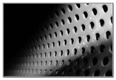 Inside the Beast*by Tristan Panek