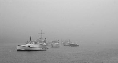 IMG_2207