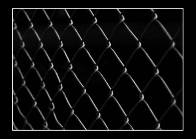 Fenced in Lines by Mike Ezell
