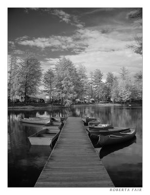 Alpine Lake Dock