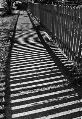 Shadow Fence Black and White