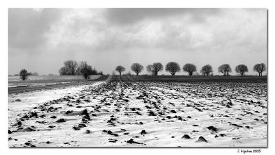 Winterlandscape by Jesper Hjelme