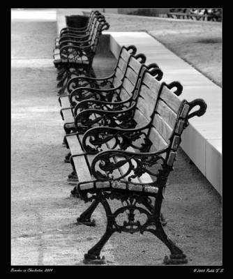 Benches In Charleston by Pablo F.S.