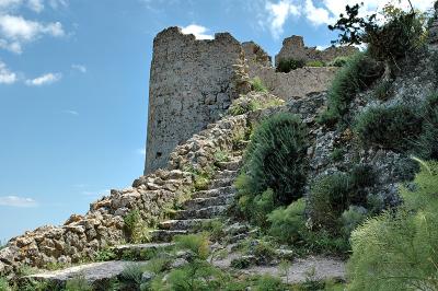 Path Among the Ruins