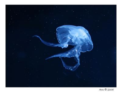 floating in space