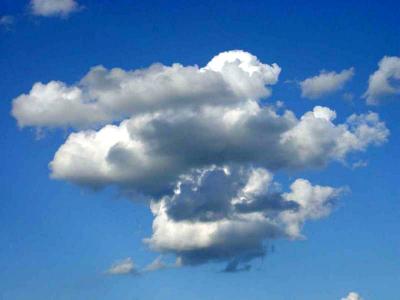 Pigs Fly