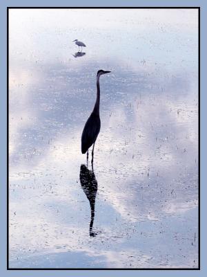 Reflections