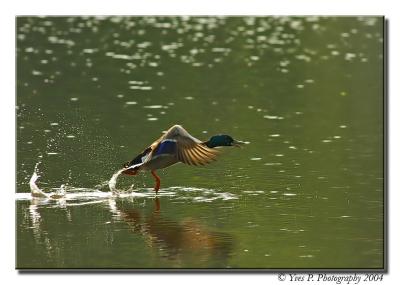 Lift-Off ...