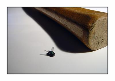Fly Off the Handle*