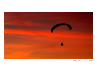 'Learn to fly' by Miguel Garcia-Guzman