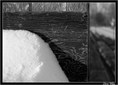 *Wood on a snowy evening