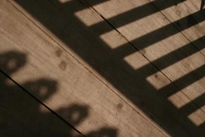 Shadow on the woodby Tabrizi