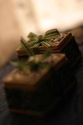 A gift to guestby Tabrizi