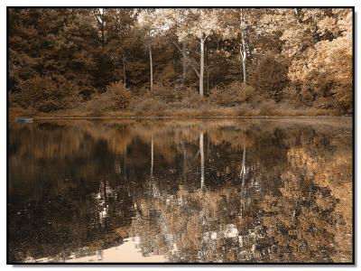 <b>6th Place</b><br>Sepia Pond <br>by Cheryl Meisel